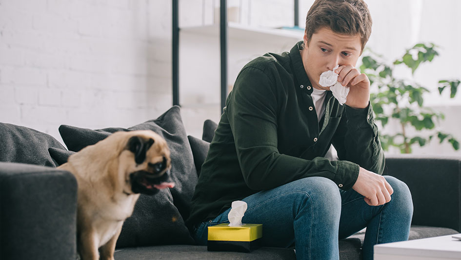 Purchasing an air purifier is one of the smartest ways to enhance your home’s indoor air quality. Discover more about the three smartest options. 